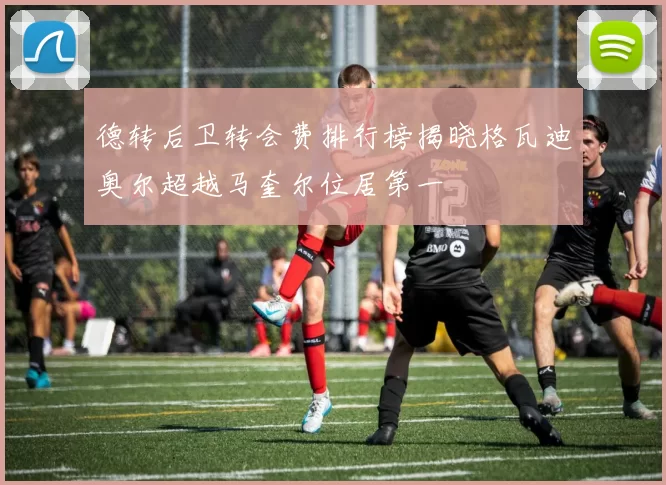 德转后卫转会费排行榜揭晓格瓦迪奥尔超越马奎尔位居第一
