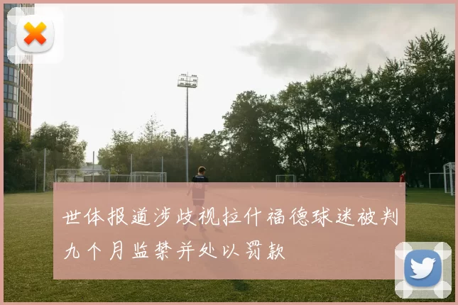 世体报道涉歧视拉什福德球迷被判九个月监禁并处以罚款