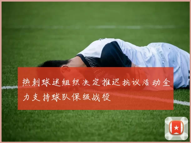 热刺球迷组织决定推迟抗议活动全力支持球队保级战役